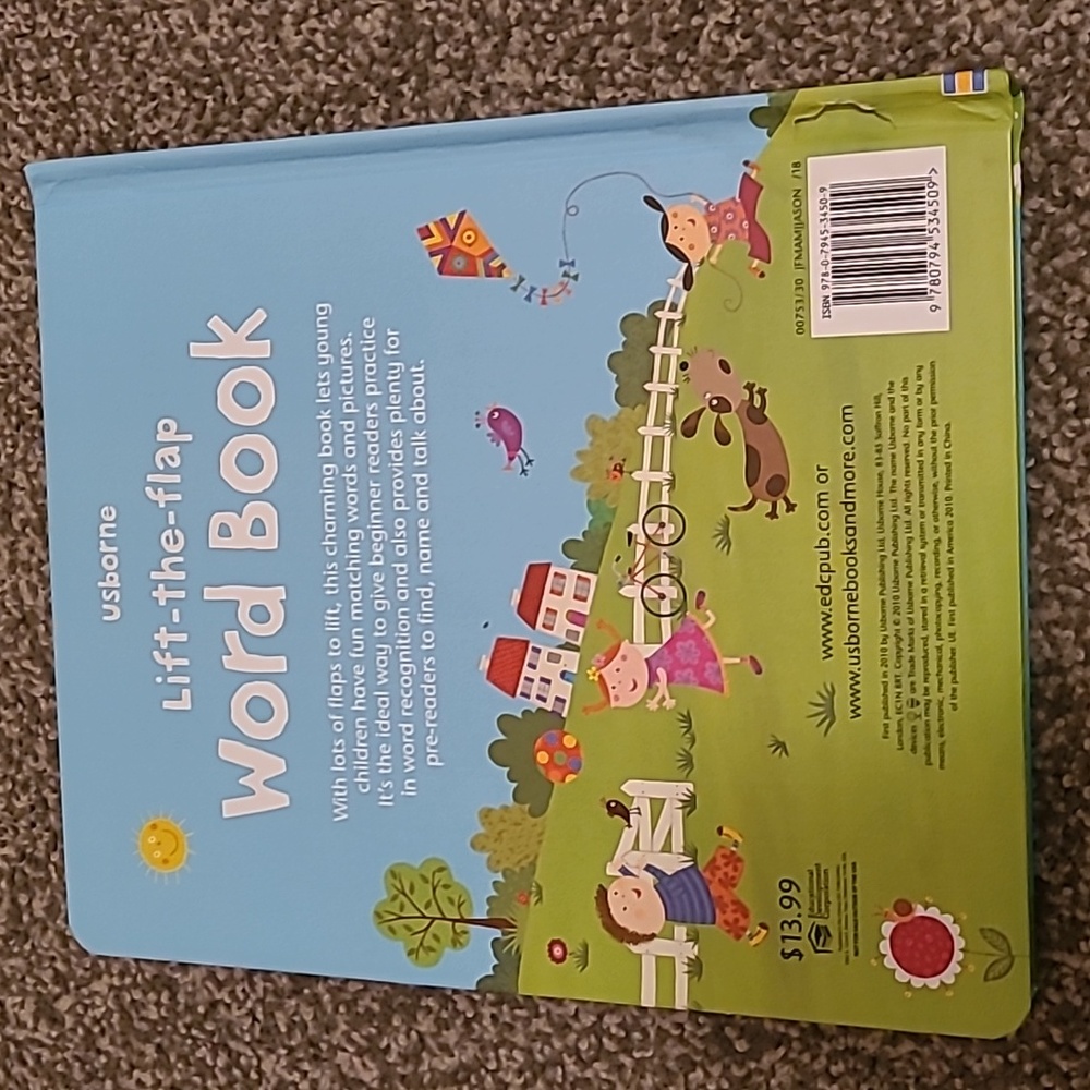 Lift A Flip-A-B-C-Numbers-Word-What are feelings?-Usburne-Kids books - Picture 7 of 9